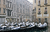 Snowfall, Venice, Italy