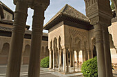 Court of the Lions, Alhambra. Granada. Andalusia, Spain