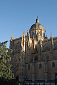 Gothic cathedral, Salamanca. Castilla-León, Spain