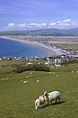 Borth Ceredigion Wales GB