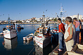 Fishing boats. Lagos. Algarve. Portugal