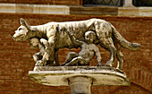 The twins and the wolf. As a Roman tradition.