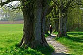 young woman jogging on narrow path between trees, narrow boulevard, Upper Bavaria, Bavaria, Germany
