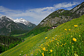 Frühlingswiese mit Bauernhof und Bergpanorama, Lofer, Berchtesgadener Alpen, Salzburg, Österreich