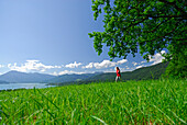 young woman walking on pasture with view to lake Tegernsee, Bavarian foothills, Bavarian range, Upper Bavaria, Bavaria, Germany