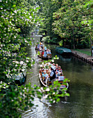 Touristen auf einer Bootsfahrt im Spreewald, Lübbenau, Brandenburg, Deutschland