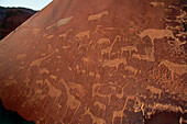 Felsmalereien bzw. Felsgravuren von Twyfelfontein, Damaraland, Namibia, Afrika.