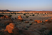 Landschaft von Damaraland im Abendlicht, Namibia, Afrika