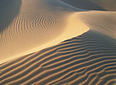 Dunes scenery, Imperial Sand Dunes, South California, North America, USA