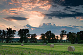 Stohballen auf einem Feld bei Mingerode, Eichsfeld, Niedersachsen, Deutschland