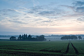 Idyllic landscape in the morning mist, Domain Beberbeck, Hesse, Germany, Europe