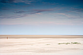 Strand in St. Peter-Ording, Schleswig-Holstein, Deutschland