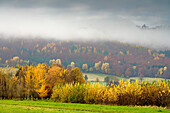 Herbstlandschaft im Weserbergland bei Veckerhagen, Hessen, Deutschland