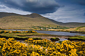 Landscape in Connemara, County Mayo, Ireland, Europe