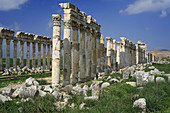 Roman city Apamea (modern Afamia), Syria