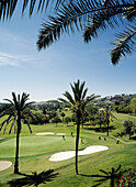 Las Brisas golf course, Marbella. Costa del Sol, Málaga province. Andalusia, Spain