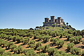 Castle of Almodóvar del Río. Córdoba province, Andalusia. Spain