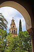 Patio de los Naranjos, courtyard and minaret tower of the Great Mosque. Córdoba. Spain