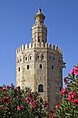 Torre del Oro. Sevilla. Andalucia. Spain.
