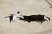 Fight between bull and man in the Arena of Arles. Provence, France