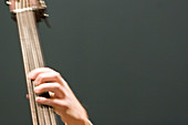 Close up of an hand playing bass during a jazz concert