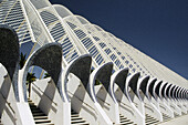 Umbracle in City of Arts and Sciences by Santiago Calatrava, Valencia. Spain