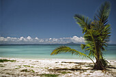 Tropical beach on the Andaman Sea in the Nopparat Thara National Marine Park near Krabi. Thailand