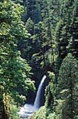 Metlako Falls. Columbia River Gorge. Oregon. USA.