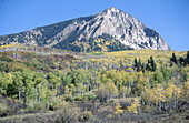 Mount Marcellina and aspens. Gunnison National Forest. Colorado. USA.