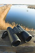 Binoculars. Marjal del Moro, Valencia province, Comunidad Valenciana, Spain