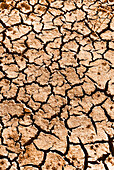 Dry land after long draught. Toledo, Castilla La Mancha, Spain.