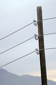 Electric Pole. Riglos. Huesca. Aragón. Spain.