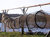 Fishtraps hung to dry, Linfjorden, Denmark