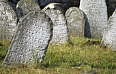Jewish cemetery in Rabi village, South Bohemia, Czech Republic, Central Europe