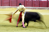 Bullfighting.