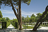 Retiro Park. Madrid. Spain.  Mr.Cecilio Rodriguez Gardens.