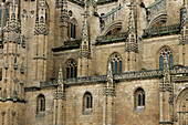View fron Plaza de Anaya. Catedral Nueva (new cathedral). Salamanca. Castilla y Leon. Spain