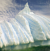 Antarctica. South Pole.