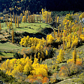 Serveto. Huesca province. Aragon. Spain.