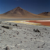 Laguna Colorada. Bolivia.