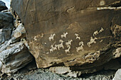 Petroglyphs, Anasazi culture. Arches National Park, Utah, USA