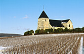 Vineyard and Church of Chavot in winter, Champagne district, France