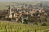 Village and vineyards, Riquewihr, Alsace, France