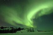 Northern lights (Aurora borealis) in winter, Nord West territories, Canada