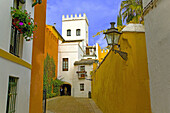 Street in Santa Cruz quarter, Sevilla. Andalusia, Spain