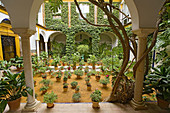 Typical courtyard at Santa Cruz district. Sevilla. Andalusia. Spain.