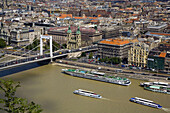 Danube river, Elisabeth bridge. Budapest. Hungary