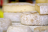 Rounds of varied french cheeses