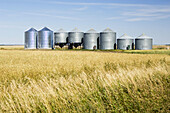 Wheat silos on the prarie. Saskatchewan. Canada.