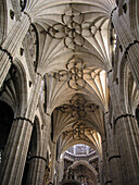 Vault of new cathedral, Salamanca. Castilla-Leon, Spain